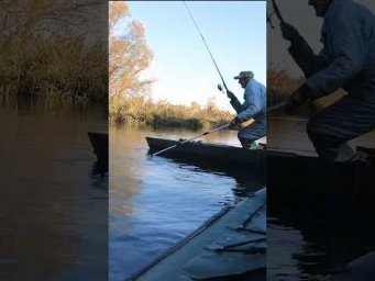 ИДИ СЮДА  #assistancetv #рыбалка #спиннинг #fishing#поплавок#щука#карась #shortsvideoyoutube #shorts