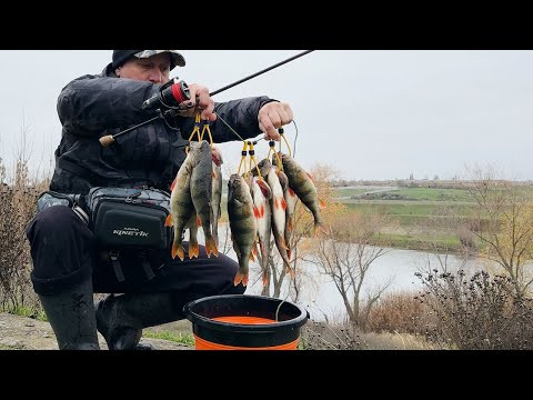 Ловля Окуня. Покльовки на кожному закиді