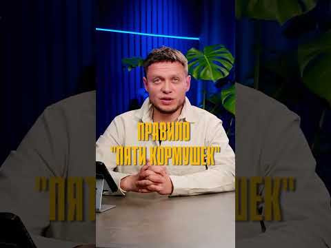 Стартовый закорм: 5 кормушек или сразу ловить? Стартовый закорм: 5 кормушек или сразу ловить?