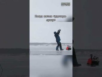 Ох уж эти &laquo;удачные&raquo; лунки