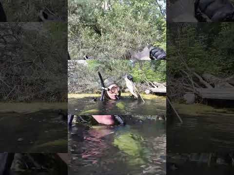 Неплохие уловы