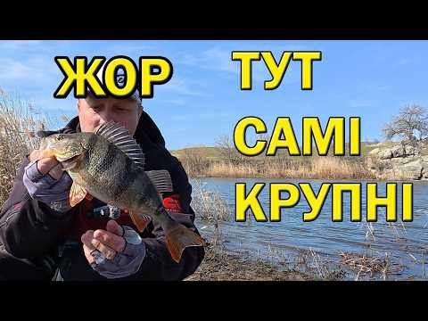ТА ТИ ШО! ОТ ЦЕ РИБАЛКА. на кожному закиді КАБАНИ ТА ТИ ШО! ОТ ЦЕ РИБАЛКА. на кожному закиді КАБАНИ