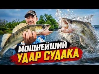 МОЩНЕЙШИЙ УДАР судака! А потом я попал в КИПЯЩИЙ КОТЕЛ