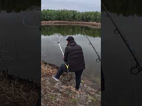 Цей КРМАК косить даже ЛИНЯ #shorts #лин #рибалка