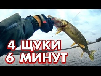 4 щуки за 6 минут - Вот это рыбалка! Ты не поверишь!