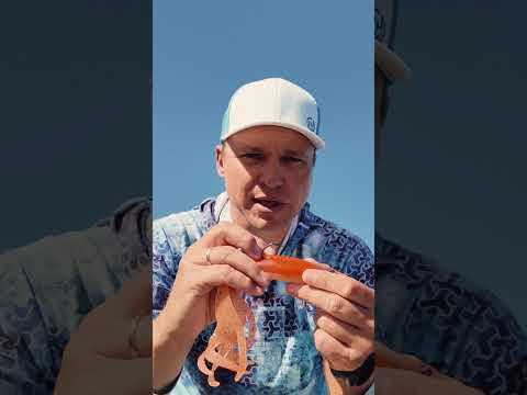 Оснащение Frapp Double Croak Оснащение Frapp Double Croak