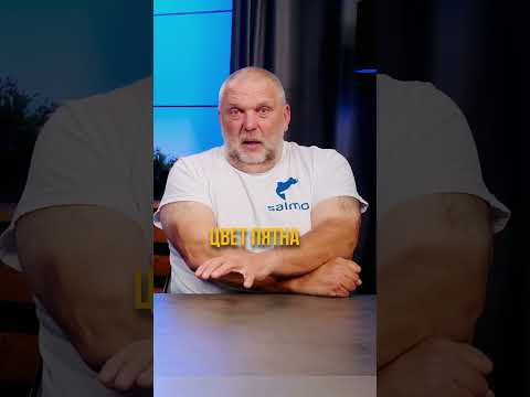 Какого цвета прикормку надо брать? 