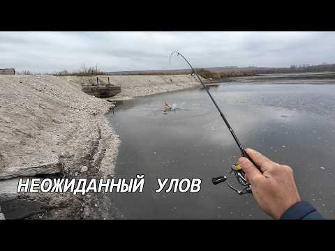 Клюнул ВЕЛИКАН! ТАКИХ РЫБ на МОРМО я ещё не ЛОВИЛ!