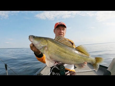 Будни гида . C женой на рыбалку . Рыбинское водохранилище . Ловлю судаков .
