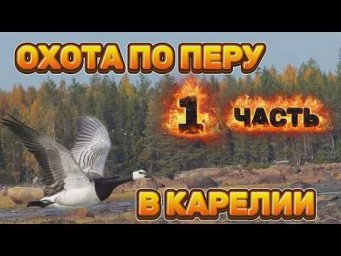 ОХОТА НА ГУСЯ И КАЗАРКУ 2026. КАРЕЛИЯ  ЧАСТЬ ПЕРВАЯ