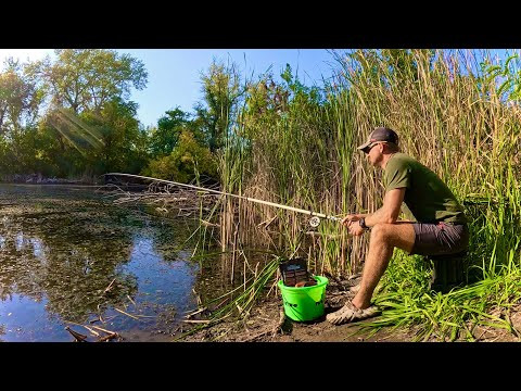 Новий СПОСІБ ЛОВЛІ КАРАСЯ! Осінній КАРАСЬ НА ВУДОЧКУ!