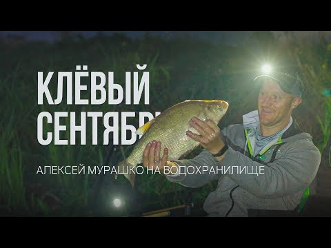 Трофей на утренней зорьке! Ночная фидерная рыбалка на леща Трофей на утренней зорьке! Ночная фидерная рыбалка на леща
