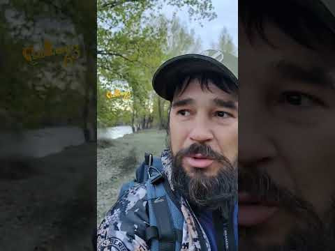 Приехал на рыбалку вечером Приехал на рыбалку вечером