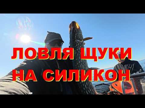 Ловля щучка на силикон с PANOPTIX. Ловля щучка на силикон с PANOPTIX.