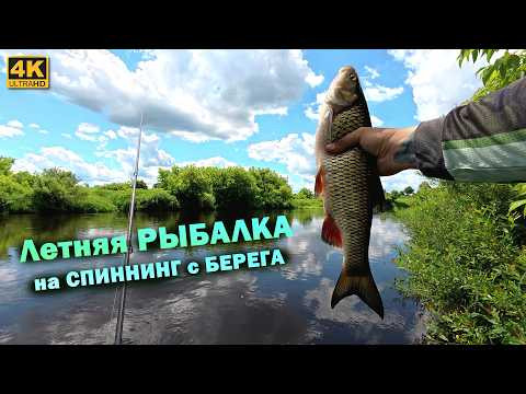 Спиннинг с берега. Летняя РЫБАЛКА на ГОЛАВЛЯ и ЖЕРЕХА