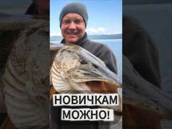 НОВИЧОК? Лови ТРОФЕЙ!