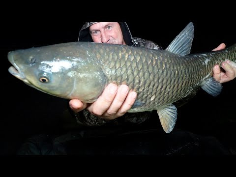ПОЙМАЛ АМУРА В МОРОЗНУЮ МАЙСКУЮ НОЧЬ! ПОЙМАЛ АМУРА В МОРОЗНУЮ МАЙСКУЮ НОЧЬ!