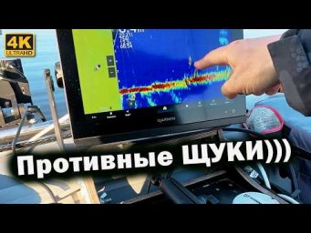 Livescope нашел рыбу! Почему щука не клюет?
