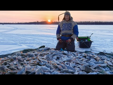 ШОК!! НЕ КЛЕВАЛО АЖ ЦЕЛЫХ ДВЕ МИНУТЫ. ШОК!! НЕ КЛЕВАЛО АЖ ЦЕЛЫХ ДВЕ МИНУТЫ.