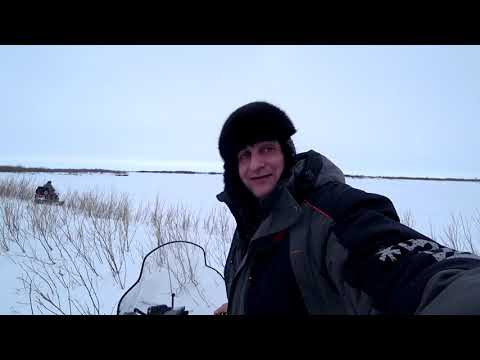 Белые куропатки не улетают, а весна потерялась. Покатушки на снегоходе в Мае. Белые куропатки не улетают, а весна потерялась. Покатушки на снегоходе в Мае.