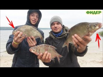 Семь кил леща. Почему не было ухи? С ночёвкой осенью на фидер.