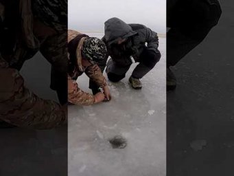 МУЖИК завалив МОНСТРА #shorts #сазан #рибалка