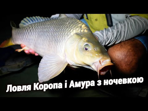 Рибалка - КАЗКА. Налупив кучу Коропів і Амурів