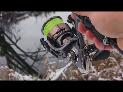 Декабрьский спин