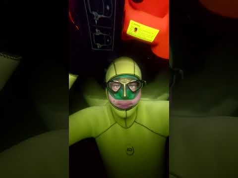 Ночь, что за странная свобода...
