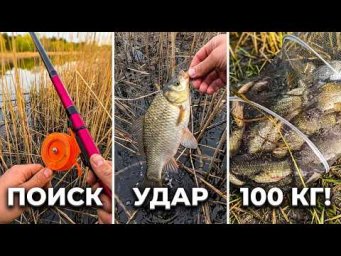 100 КГ ЗА РЫБАЛКУ! ЕСТЬ СОВЕСТЬ?! НЕ РЫБАЛКА А ЖОР КАКОЙТО! НА БОКОВОЙ КИВОК @вбоккивок