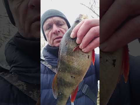 Первая рыбалка без Сына Первая рыбалка без Сына