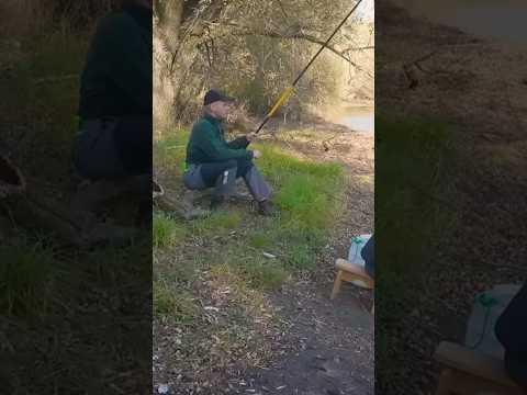 Когда ловить карася для живца  #assistancetv #рыбалка #карась #живчик #поплавочнаяудочка