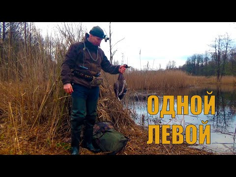 ОХОТА НА СЕЛЕЗНЯ С МАНКОМ. СТРЕЛЯЮ С ЛЕВОЙ РУКИ
