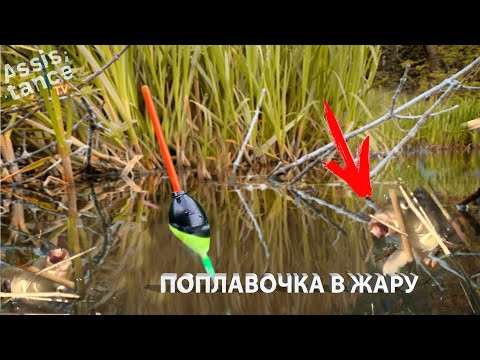 Поплавочка по жаре. Июль хоть в воду плюнь. Поплавочка по жаре. Июль хоть в воду плюнь.