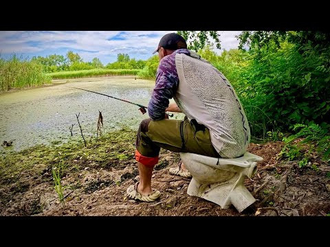 Такого КАРАСЯ ВИ ЩЕ НЕ ЇЛИ!!! Рестік відпочиває!!! Такого КАРАСЯ ВИ ЩЕ НЕ ЇЛИ!!! Рестік відпочиває!!!