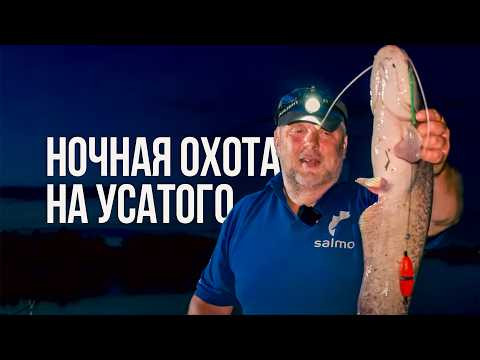 ВОНЮЧИЙ БУТЕРБРОД ДЛЯ СОМА. Хитрости, снасти, прикормка и монтаж на сома от Нормунда Грабовскиса! ВОНЮЧИЙ БУТЕРБРОД ДЛЯ СОМА. Хитрости, снасти, прикормка и монтаж на сома от Нормунда Грабовскиса!