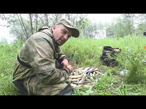 Наловил два ведра рыбы. Попал на жор щуки на спиннинг. Рыбалка по жидкой воде.