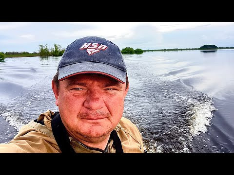 Нашли залитые кусты и началось! Нашли залитые кусты и началось!