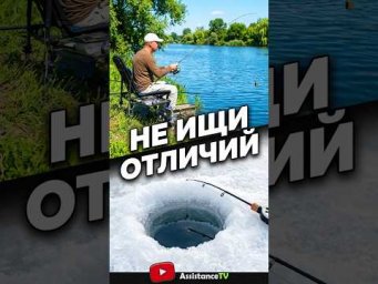 Что общего между фидером и лункой? 