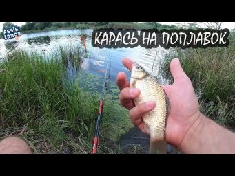 Как поймать карася на поплавок  жарким летом.
