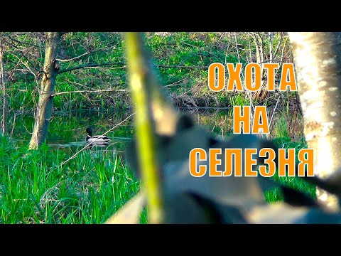 ОХОТА НА СЕЛЕЗНЯ С ПОДСАДНОЙ/ПРИШЛОСЬ ПОБЕГАТЬ