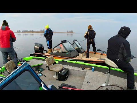 Парні були в шоці від цього! Такого ви не побачите більше ніде! Міхалич обіцянки виконує!