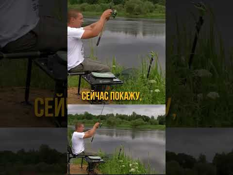 Как поставить фидер на реке?