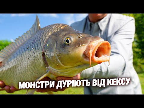 МОНСТРИ ДУРІЮТЬ від КЕКСУ! МОНСТРИ ДУРІЮТЬ від КЕКСУ!