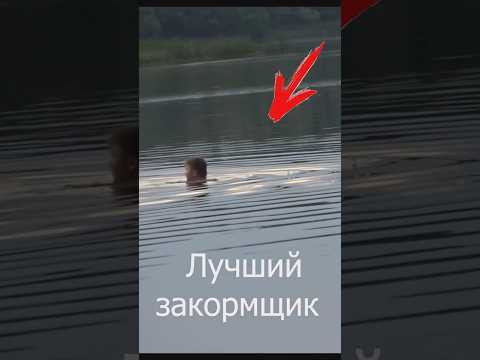 Как закормить рыбу. Лайфхак