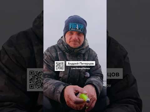 Есть вопросы к Андрею Питерцову? ПИШИТЕ 