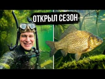 Начало сезона 2026
