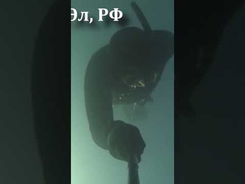 Где нырять в России?