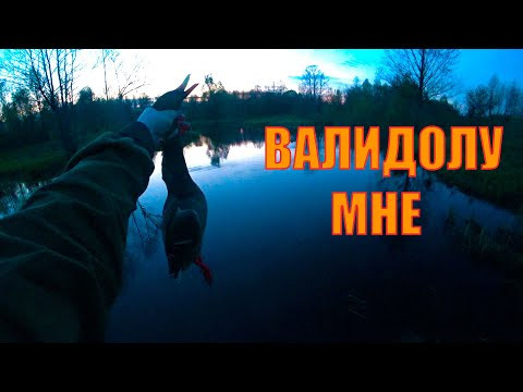 ЗАКРЫТИЕ ВЕСЕННЕЙ ОХОТЫ НА СЕЛЕЗНЯ 2024
