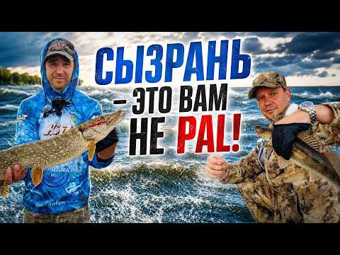 Сызрань — это вам НЕ PAL! Тренировка перед Кубком Самарской области Сызрань — это вам НЕ PAL! Тренировка перед Кубком Самарской области